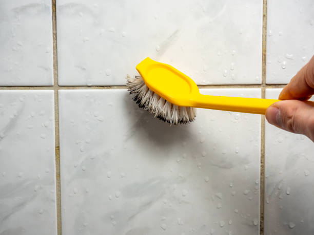 Best Residential Mold Removal  in Aitkin, MN