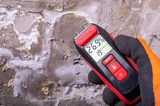 Best Commercial Mold Removal  in Aitkin, MN