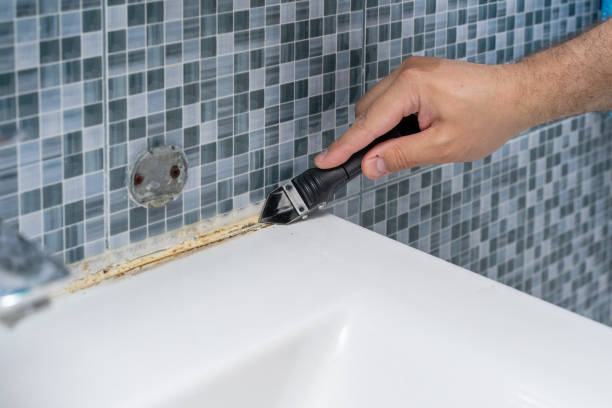 Best Toxic Mold Removal  in Aitkin, MN